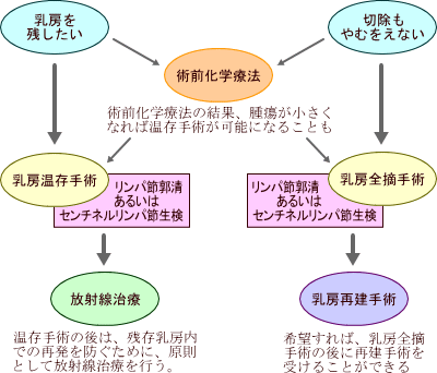 治療選択の流れ図